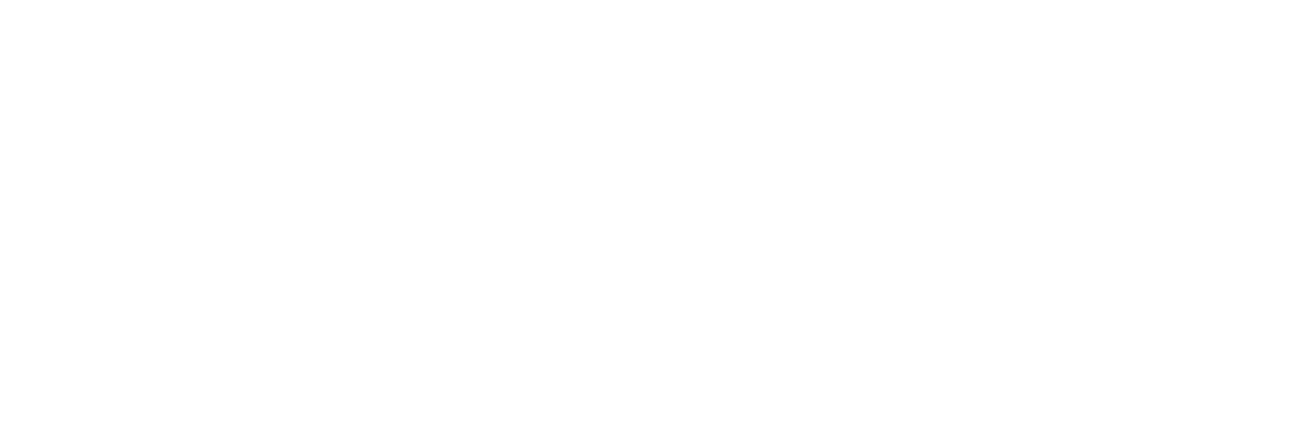 Salvador Seminovos